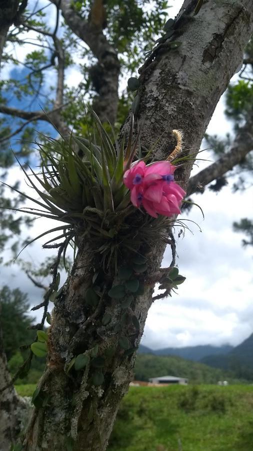 Hostel E Pousada Vale Mirante Da Rocha Timbe do Sul Exteriér fotografie