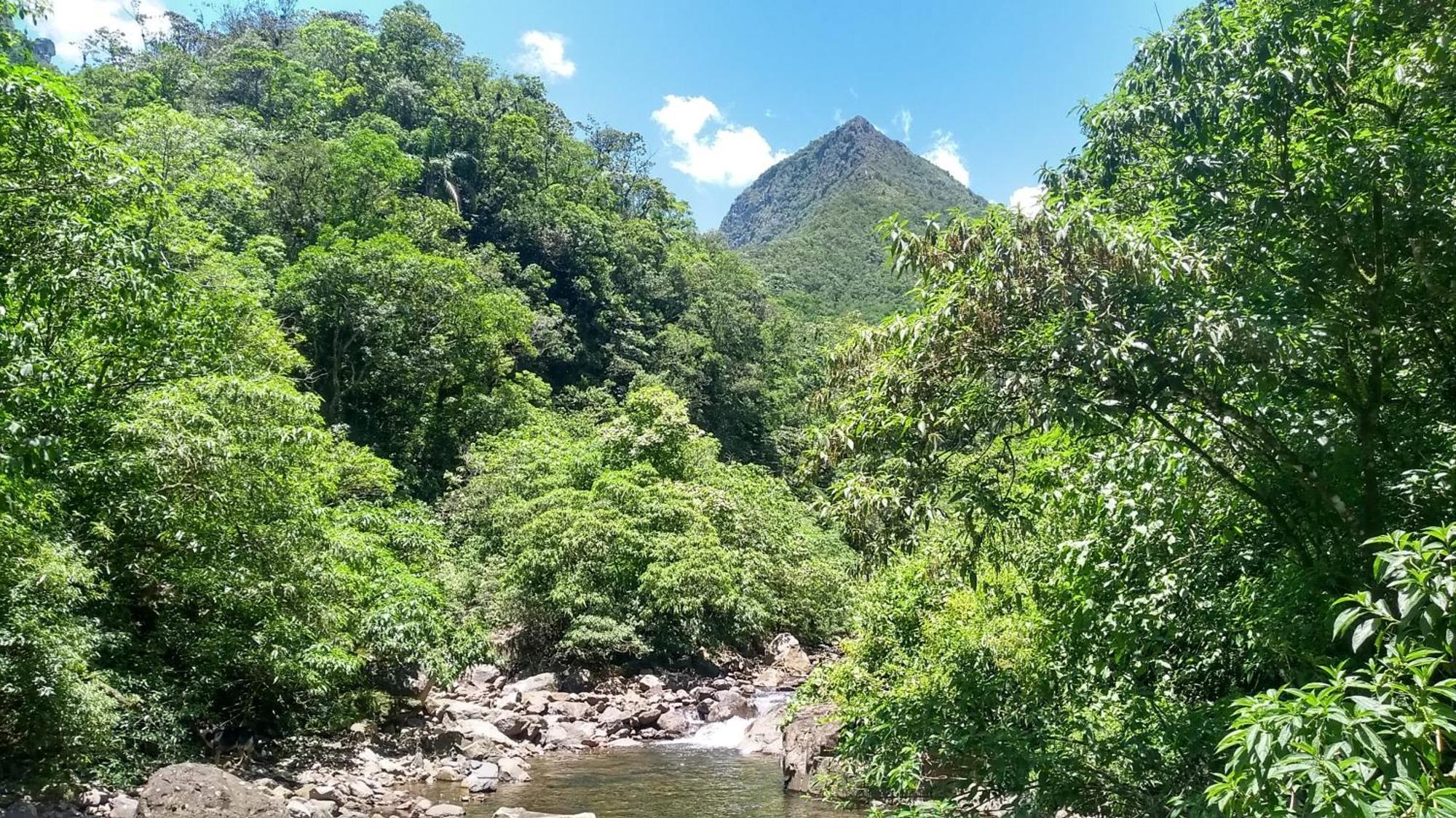 Hostel E Pousada Vale Mirante Da Rocha Timbe do Sul Exteriér fotografie